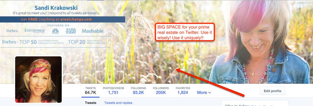 Twitter New Design 1