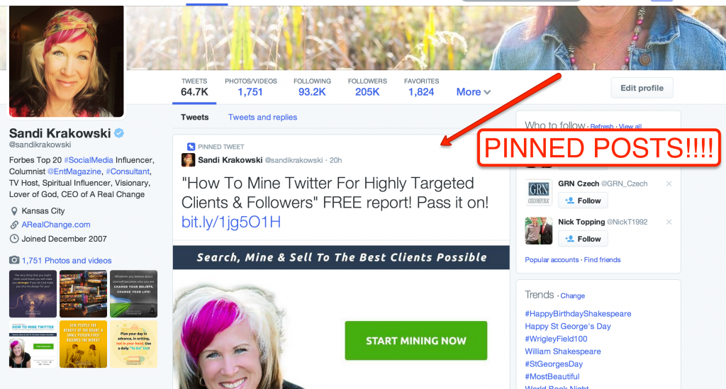 Pinned Posts On Twitter