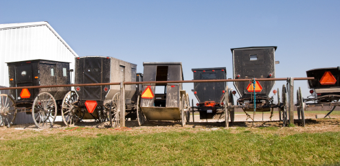 iStock_000012517795XSmall