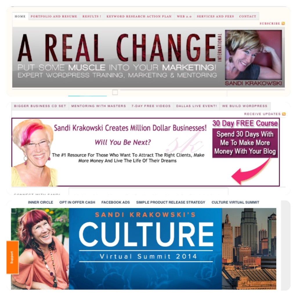 Sandi Krakowski Blog